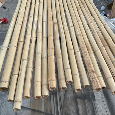 18mm تا 160mm قطر چوب بامبو Moso قطب بامبو ساخت و ساز کشاورزی