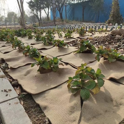 حصیر گیاهی کنفی طبیعی، محافظ سازگار با محیط زیست برای گیاهان گلدانی، دکور باغ، جوانه زنی بذر